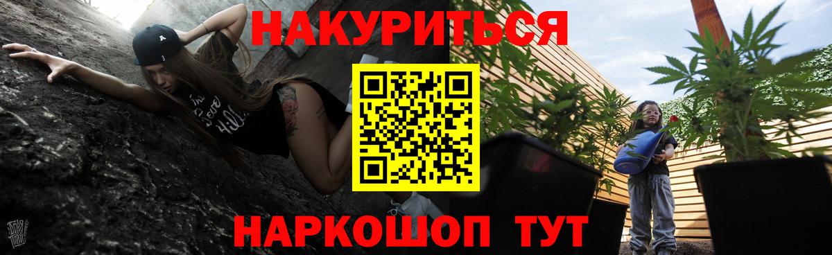 Краснодар  Бошки Шишки OG Kush  Канабис OG Kush  Вход с VPN  Марихуана конопля 